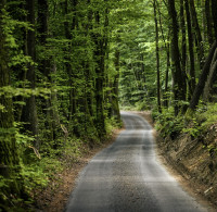 2023 - European Rally Championship - Round 7 