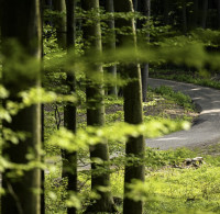 2023 - European Rally Championship - Round 7 