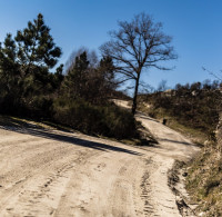 2023 - European Rally Championship - Round 1