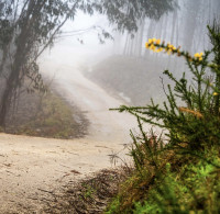 2023 - European Rally Championship - Round 1