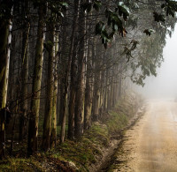 2023 - European Rally Championship - Round 1