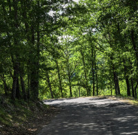 2023 - European Rally Championship - Round 6