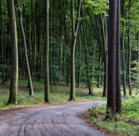 2023 - European Rally Championship - Round 7 