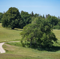 2023 - European Rally Championship - Round 4