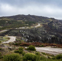 2023 - European Rally Championship - Round 1