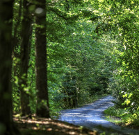 2023 - European Rally Championship - Round 7 